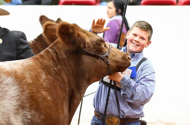 Cleere Wins Another