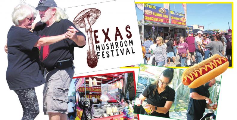 Festival Sprouts Back