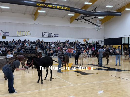 DONKEY HOOPS RAISES FUNDS