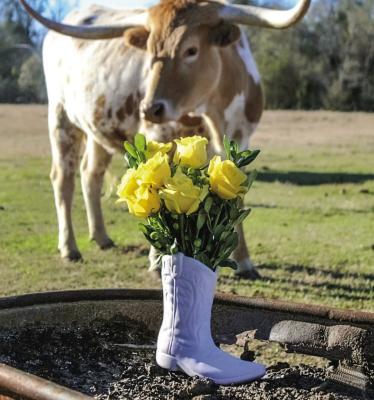 Colton Gatlin, sophomore at Madisonville High School, was amongst the Top 50 to place at the Houston Livestock Show &amp; Rodeo Horticulture Photography Contest. This is Gatlin’s second year to enter the contest and his theme this year was Deep in The Heart of Texas. The photograph is displayed at the HLS&amp;R. COURTESY PHOTO