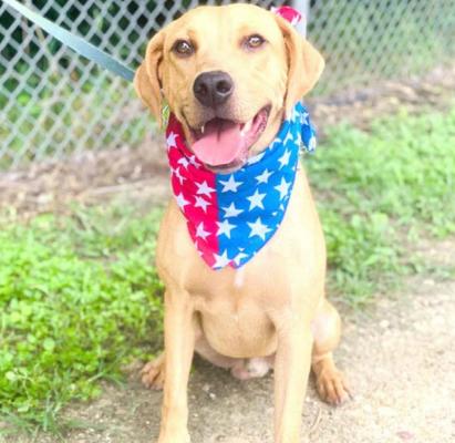 PET OF THE WEEK: SILLY BILLY