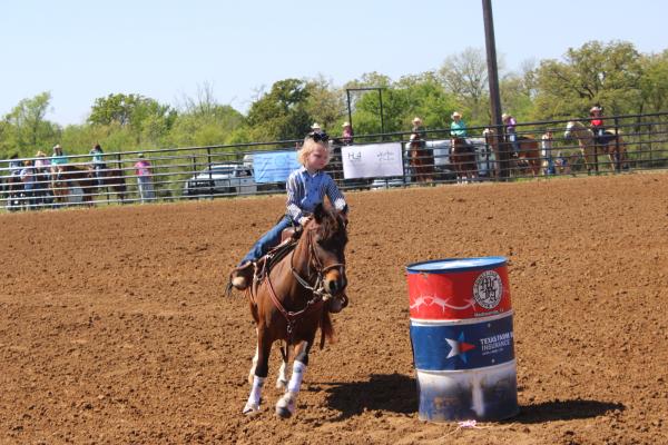 BARRELS, BOOTS AND BUCKLES