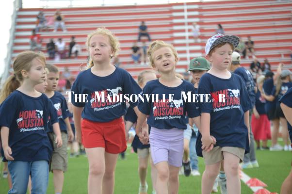 MUSTANGS RUN FOR FUN
