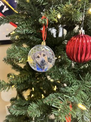Police Department Angel Tree Benefits Shelter Animals