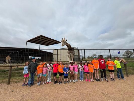 Safari fun with Sweet Magnolia