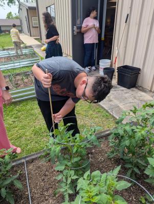 FFA digs into learning
