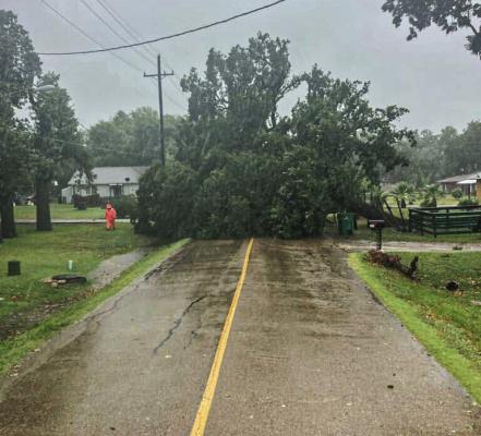 BERYL ENDS, CLEANUP BEGINS 