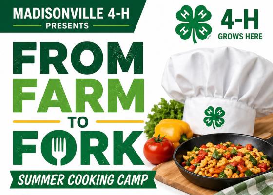 Madisonville 4-H to host From Farm to Fork cooking camp