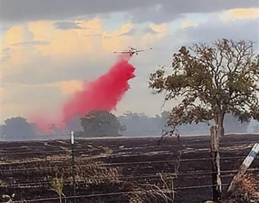 WILDFIRES OF THE WEEK