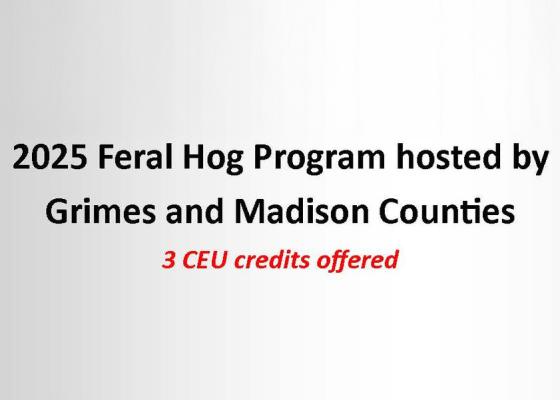 Learn to Combat Feral Hog Damage
