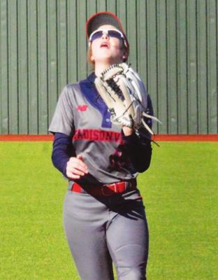 Lady Stangs