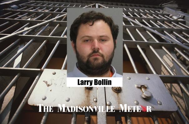 Bollin gets life sentence