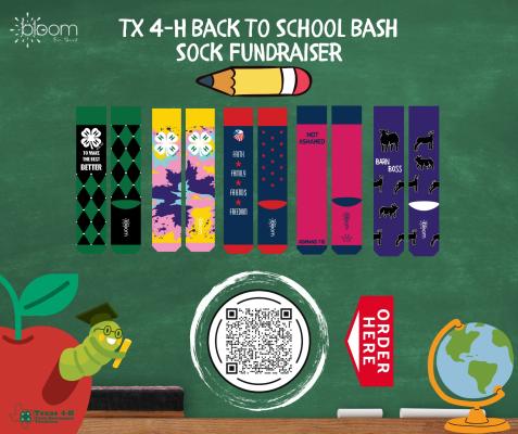 Agrilife Extension to host back to school fundraiser