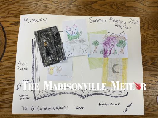 SUMMER READING PROGRAM HOSTS BIRTHDAY BASH