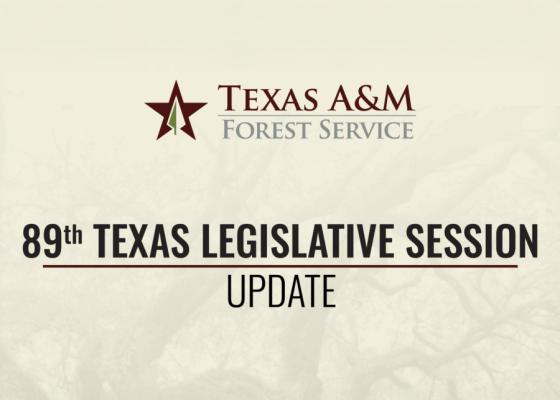 Texas VFDs receive historic $192 million funding boost