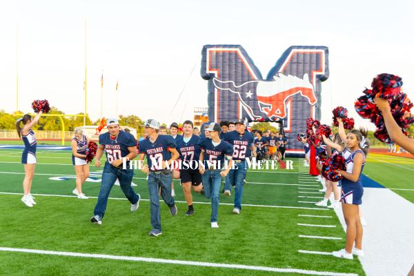 Meet the Mustangs