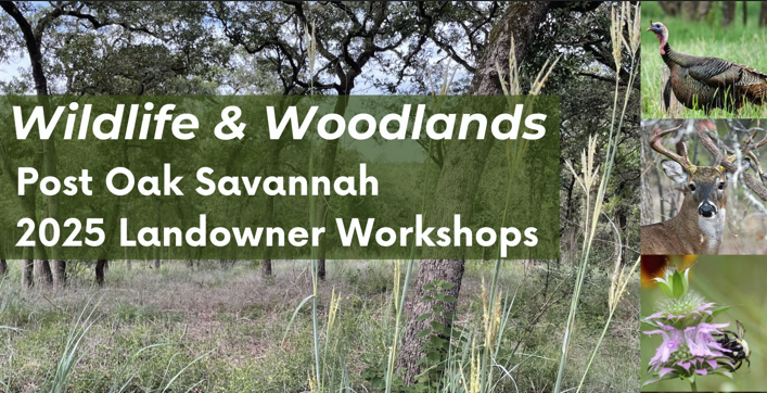 Wildlife landowner workshop