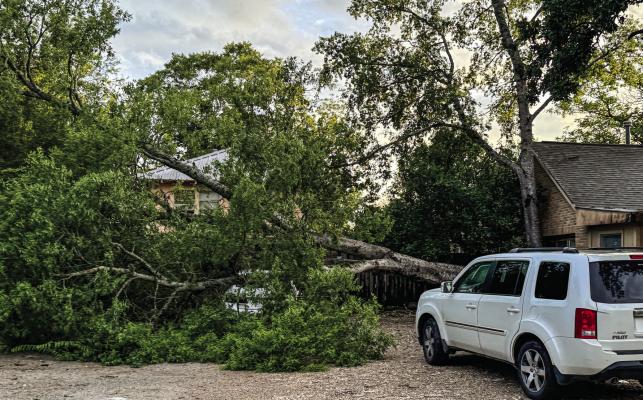 Hurricane Beryl made landfall around 4 a.m. near Matagorda. Its effects were felt throughout Madison County. Strong winds knocked over many trees throughout the county. See more photos on Page 2. METEOR PHOTO BY ANA COSINO-MIZE