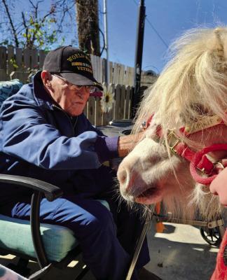 MINI PONY VISITS MADISONVILLE SENIOR CARE CENTERS