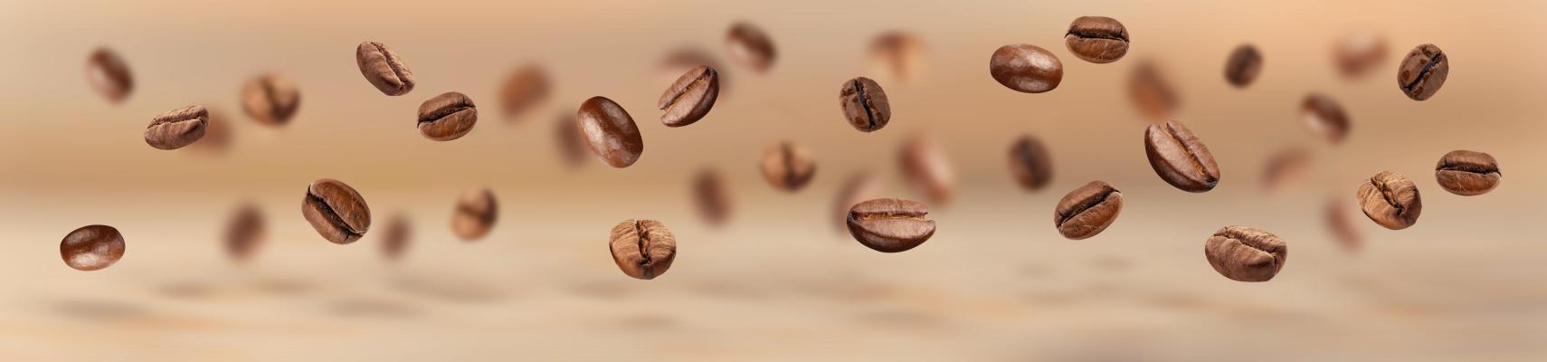 Congressman McCaul to host Community Leaders Coffee in Madisonville
