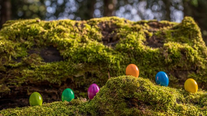 3rd Annual Glow in the Dark Snipe Egg Hunt