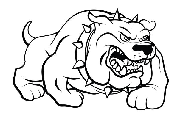 Update for the North Zulch Lady Bulldogs