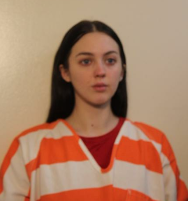 Homeowner arrested after minor’s accidental shooting