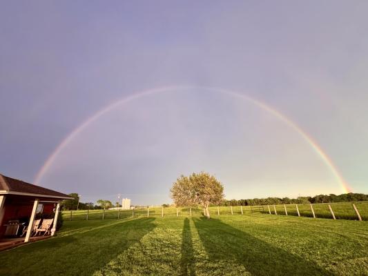 A rainbow arcs over a lone tree at High Prairie April 12, a few miles west of Madisonville. A second, fainter rainbow could be seen stretching above the town after storms rolled out Sunday afternoon. 