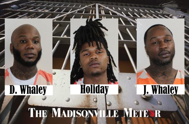 Drug bust nets three arrests
