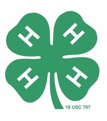 Madison County 4-H announces 2024-2025 council officers
