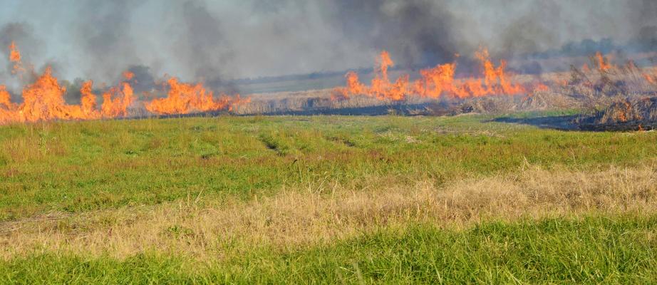 Grants available to Texas landowners for prescribed burning