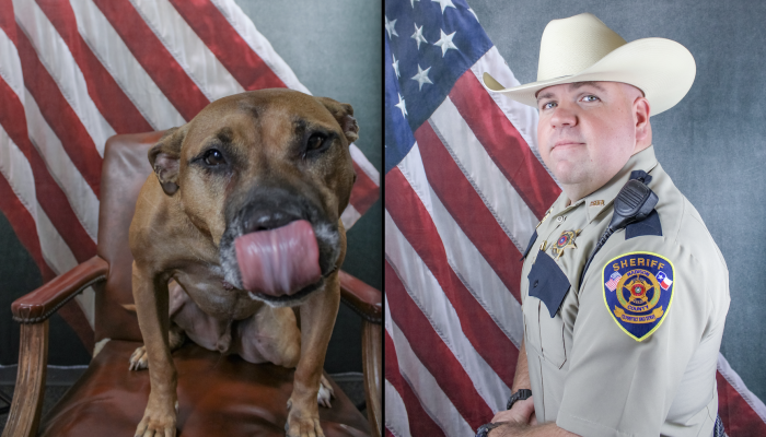 K-9 Sgt. Maverick (left) and K-9 Corporal McIntyre. Meteor photo