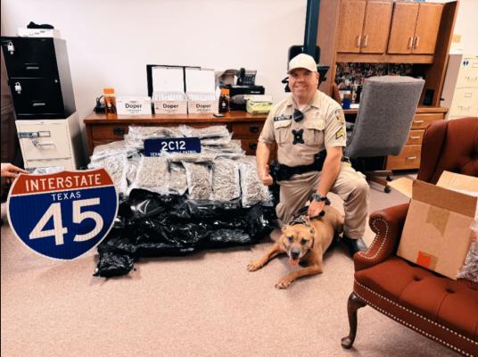 DPS seizes 100 pounds of marijuana