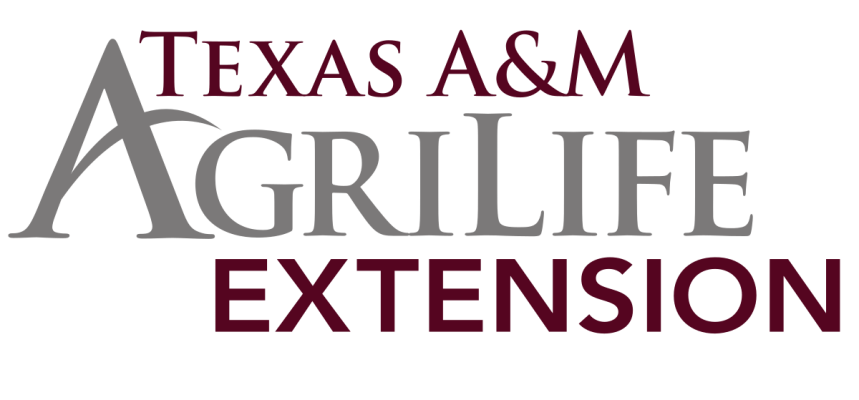 Summer Ag Academy for high school teachers to be June 9-21 in Bryan