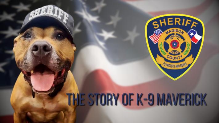 k-9 maverick