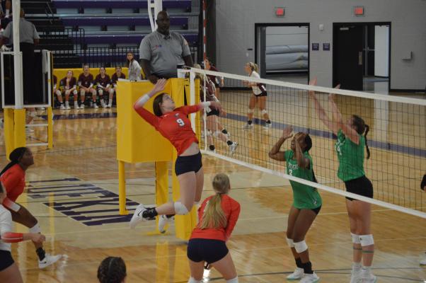 shelby-bird-volleyball