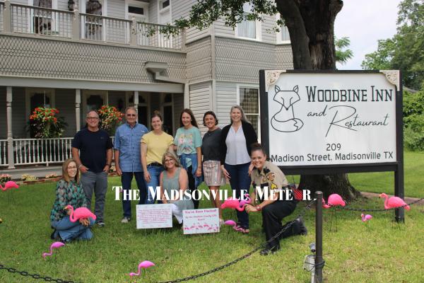 Pink Flamingos on Parade in Madison County