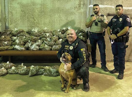 MCSO Arrests Man for Transporting 80 Pounds of Marijuana