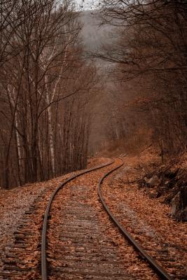 Photo by Adam Bixby on Unsplash