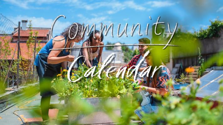 comm calendar generic