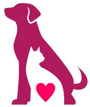 Madisonville Animal Shelter Struggles with Limited Resources and Urges for Public Support