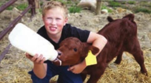 Madison County Fair