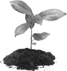 Soil & Fertility Workshop in Madisonville