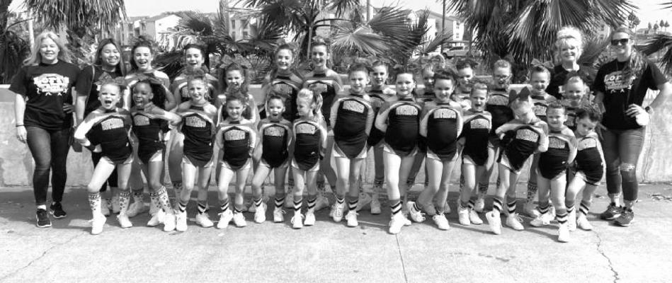 HOTSHOTS SHINE