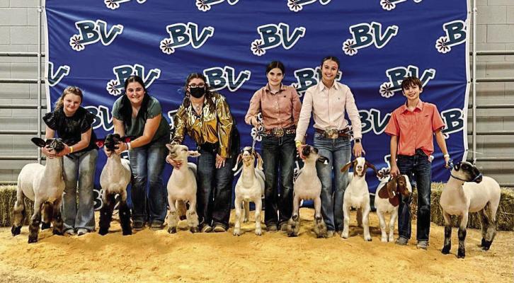 Madison County 4-H members represented Madison County well and came home with some awards. Pictured, left to right: Lacey Sapp, Khloey Gantz, Elora Gantz, Storm Duke, Emillie Harrison, and Will Harrison. Emillie won first place in both Rings with her lamb; first in Class and Reserve Champion Medium Weight in Ring 1 with goat. Will took third place with lamb in both Rings; and Storm took third in Class Ring A and 2nd in Class Ring B (goat). PHOTO BY BRITTANY MAE DUKE