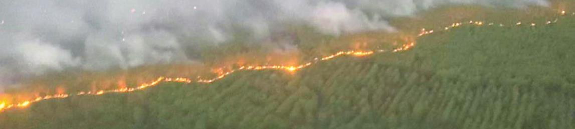 Aerial view of the Walker4016Fire, renamed the Nelson Creek Fire, which has burnt over 1,500 acres.