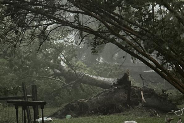The backyard of one of the residences in Madisonville. COURTESY PHOTOS