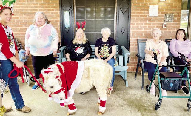 Mini pony visits Madisonville seniors for annual Christmas tradition