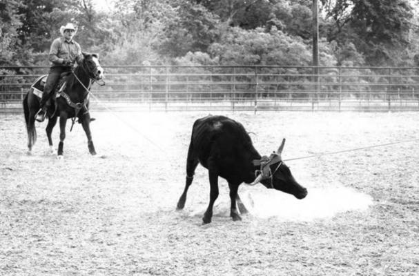 Local ropers gathered