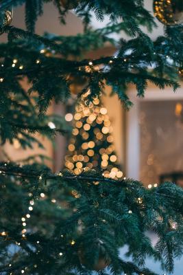 Photo by Markus Spiske on Unsplash